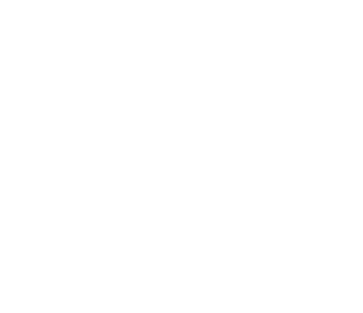 PolinIntel