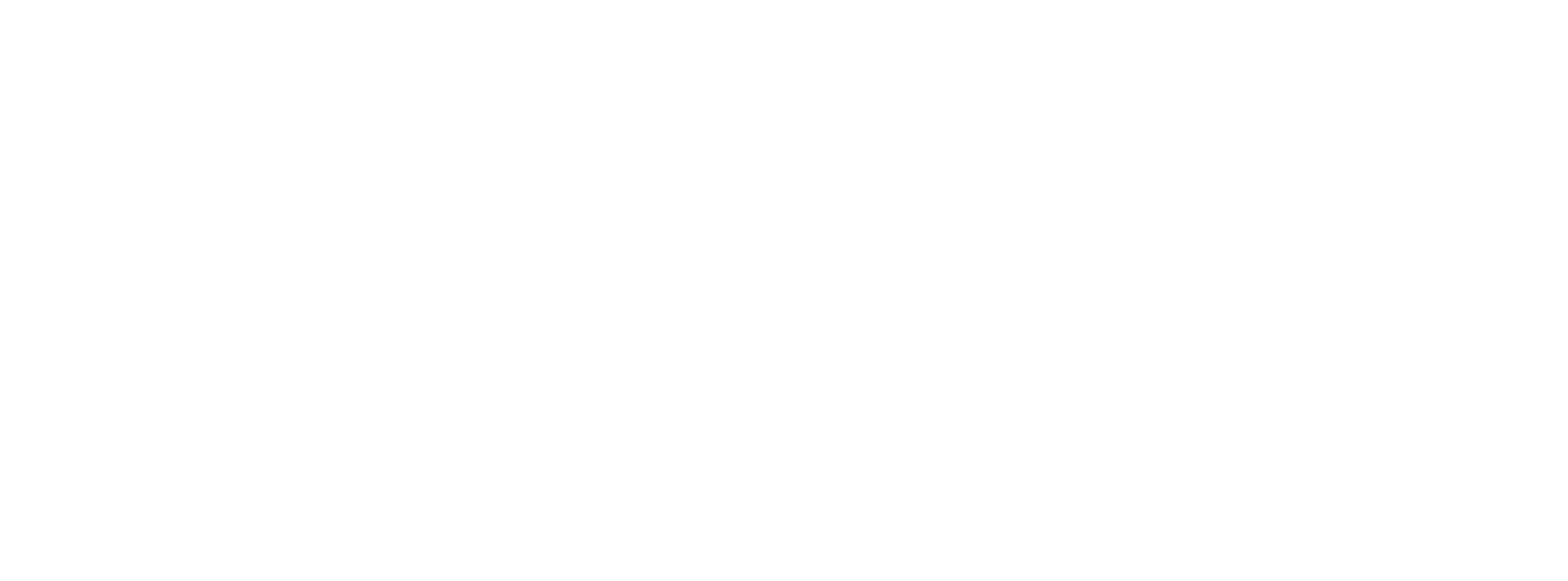 PolinIntel Logo